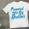 Big Little Reveal T-Shirt Promoted To I Am Great Present