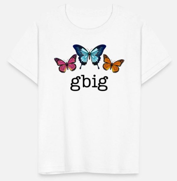 Big Little Sorority T Shirt Sorority Clothing Shirt