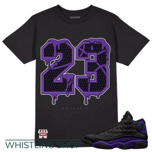 Canyon Purple T Shirt Unisex Shirt Match Jordan 13