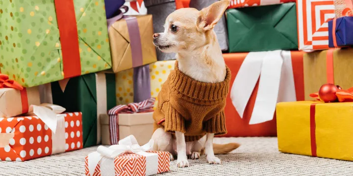 Gifts for Dog Lovers