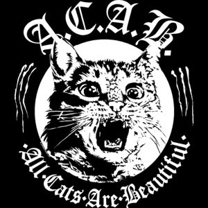 All Cats Are Beautiful Ladies Black T Shirt 3