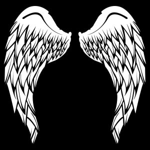 Angel Wings Ladies Black Skinny Fit T Shirt 3