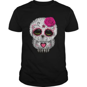Awesome Owl Sugar Skull Trick Or Treat Pumpkin Halloween Boo shirt