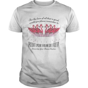 Ballet flamingo for the love of all that is good sincerely your dance teacher t-shirt