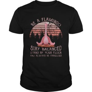 Be a flamingo stay balanced stand by your flock shirt