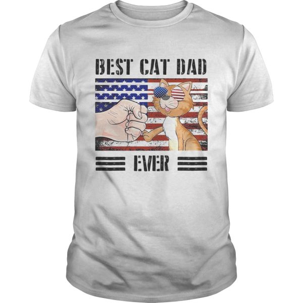 Best cat dad ever American flag veteran Independence Day vintage shirt