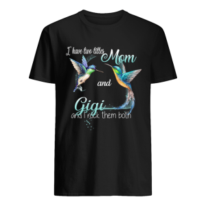 Bird Art I Have Two Titles Mom And Gigi And I Rock Them Both T-Shirt