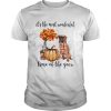 Boxer pumpkin Its the most wonderful time of the year shirt