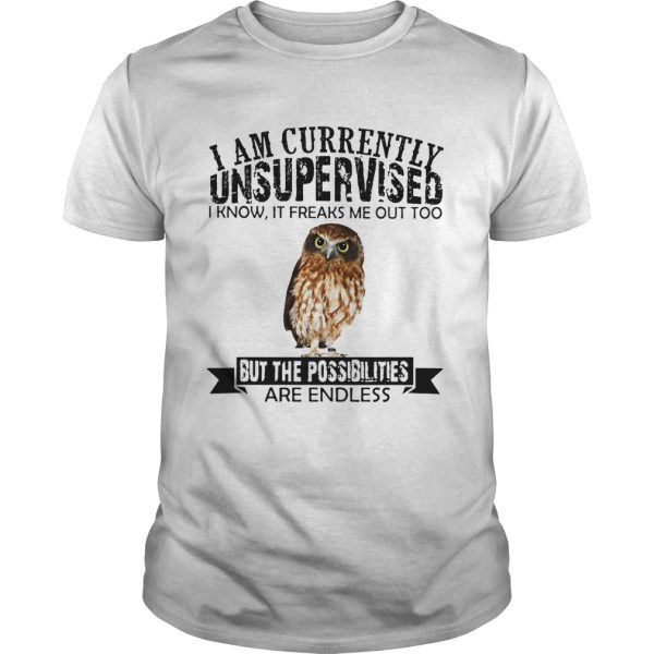 Burrowing Owl I am currently Unsupervised I know it freaks me out too but the possibilities are endless long sleeve and ladies shirt