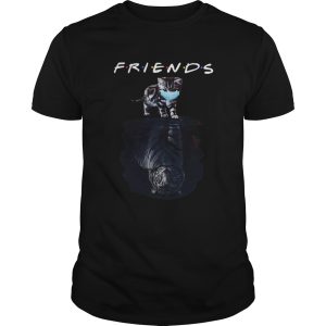 Cat Face Mask Reflection Tiger Friends shirt