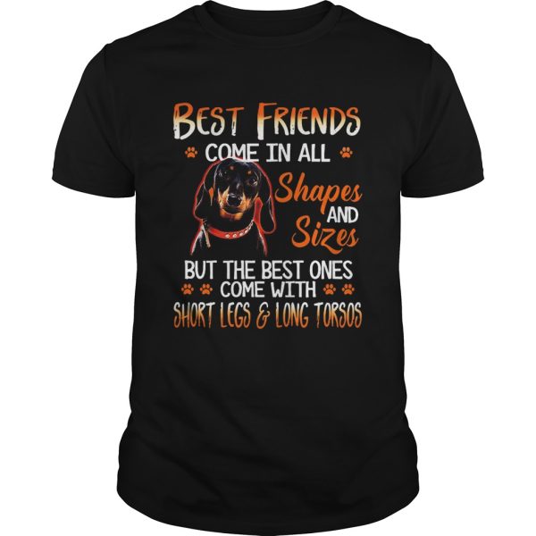 Dachshund Best Friends Come In All Shapes And Sizes shirt