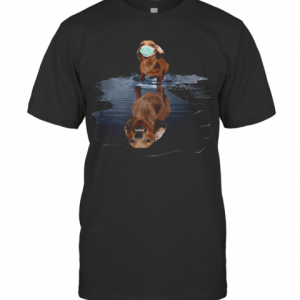 Dachshund Mask Reflection T-Shirt