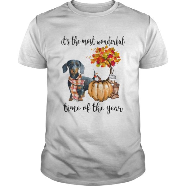 Dachshund pumpkin Its the most wonderful time of the year shirt