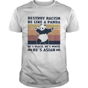 Destroy racism be like a panda Hes black Hes white Hes Asian Vintage retro shirt