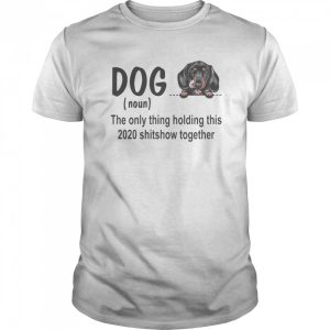 Dog dachshund royal noun the glue holding this 2020 shitshow together shirt