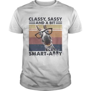 Donkey classy sassy and a bit smartassy vintage retro shirt