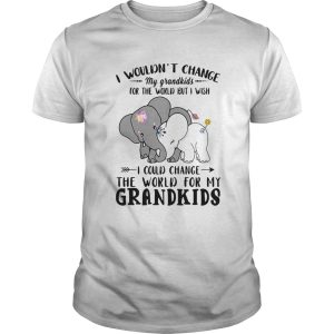 Elephant I Wouldnt Change My Grandkids For The World But I Wish shirt