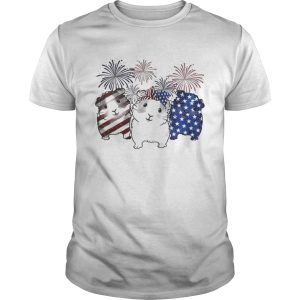 Fireworks Guinea Pigs 4th of July independence day American flag shirt