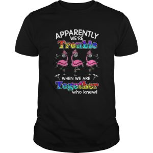 Flamingo Apparently Were Trouble When We Are Together Who Knew Coronavirus shirt