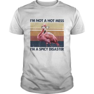 Flamingo Im not a hot mess Im a spicy disaster vintage shirt
