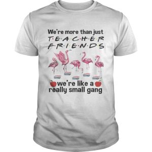 Flamingo We’re more than just teacher friends we’re like a really small gang shirt