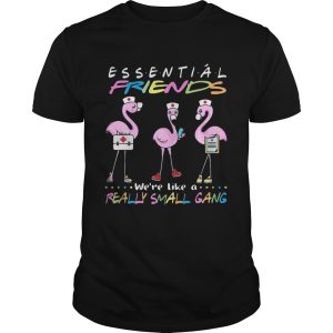Flamingo Were More Than Just Essential Friends Were Like A Really Small Gang shirt
