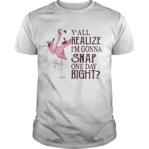 Flamingo Yall realize Im gonna snap one day right shirt