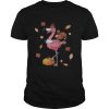 Flamingo and chicken turkey pumpkin shirt
