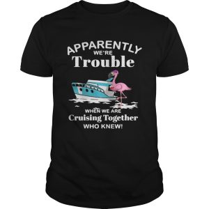 Flamingo apparently we’re trouble when we are cruising together who knew shirt