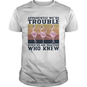 Flamingo apparently were trouble when we are together who knew vintage shirt