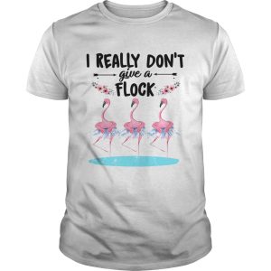Flamingo ballet dont give a flock shirt