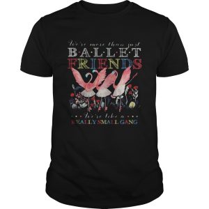 Flamingo mask were more than just ballet friends were like a really small gang shirt