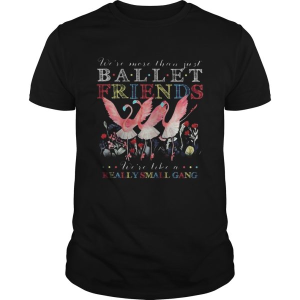 Flamingo mask were more than just ballet friends were like a really small gang shirt