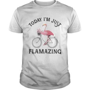 Flamingo today Im just flamazing shirt
