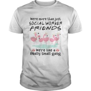 Flamingo we’re more than just social worker friends we’re like a really small gang shirt