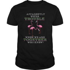 FlamingoApparently Were Trouble When We Are Together tShirt