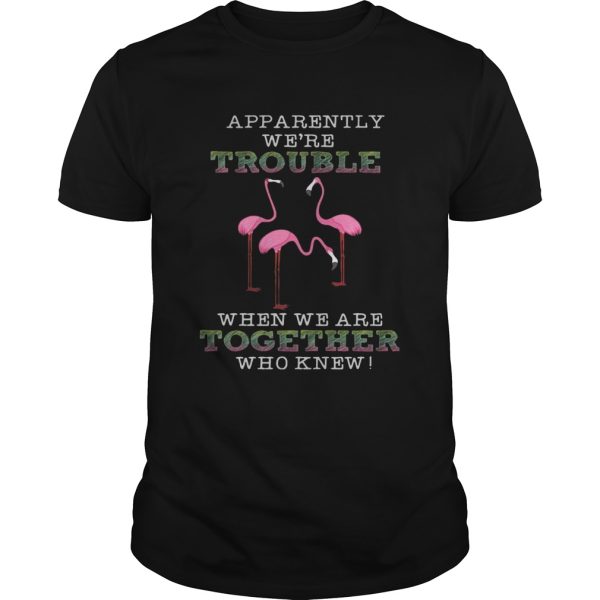 FlamingoApparently Were Trouble When We Are Together tShirt