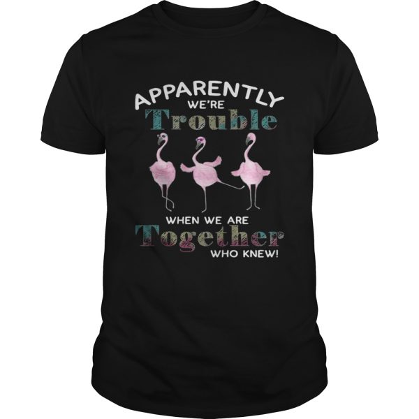 Flamingos apparently were trouble when we are together who knew shirt