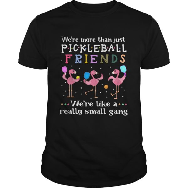 Flamingos were more than just pickleball Friends were like a really small gang shirt