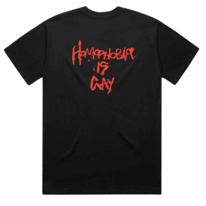 Homophobia Is Gay Tee 2