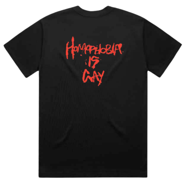 Homophobia Is Gay Tee