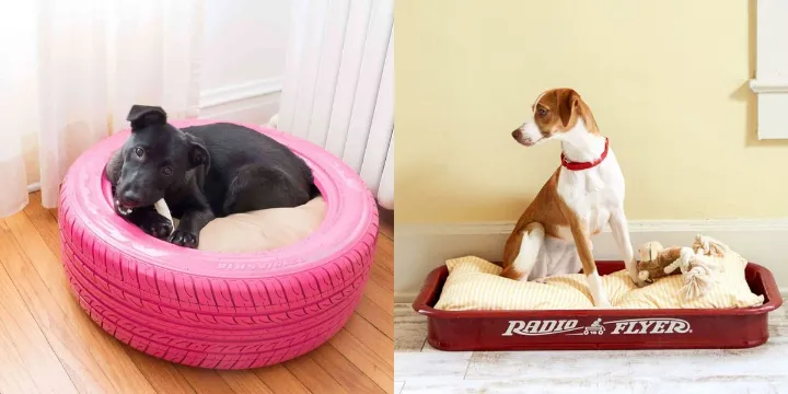 Gifts for Dog Lovers