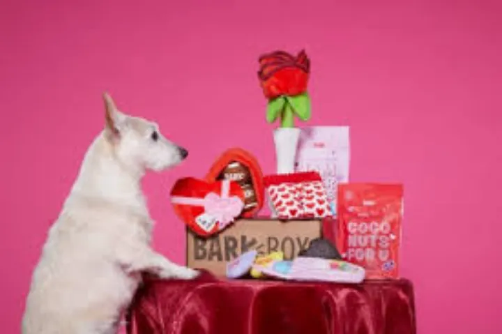 Gifts for Dog Lovers