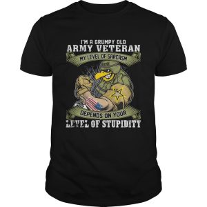 I’m a grumpy old army veteran my level of sarcasm depends on your level of stupidity shirt