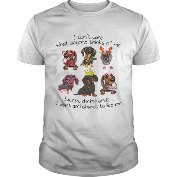 I Dont Care What Anyone Thinks Of Me Except Dachshunds I Want Dachshunds To Like Me shirt