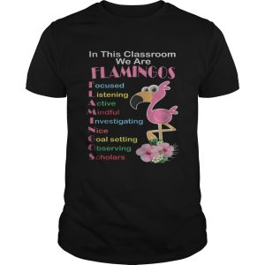 In This Classroom We Are Flamingo Focused Listening Active Mindful Shirt