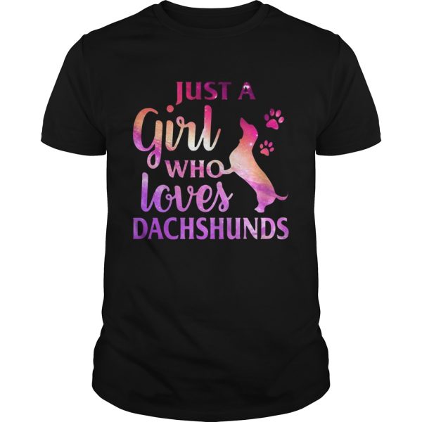 Just A Girl Who Loves Dachshund Colorful Gift Shirt