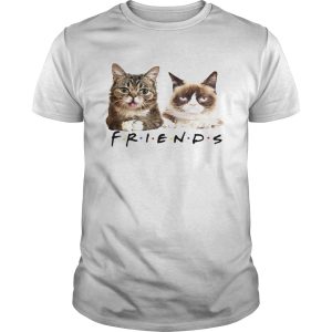 Lil Bub and Grumpy cat friends tv show shirt