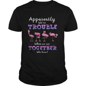 Original Apparently We’re Trouble When We Are Together Flamingo shirt