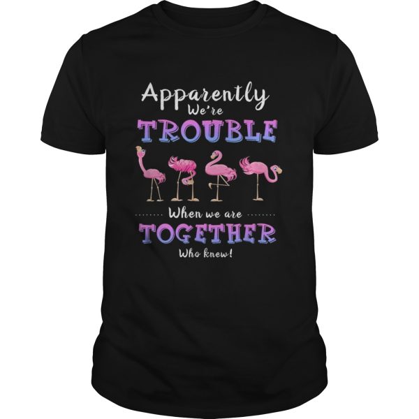 Original Apparently We’re Trouble When We Are Together Flamingo shirt